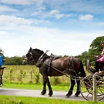 Muckross Park & Hotel 5*