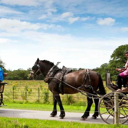 Muckross Park & Hotel 5*