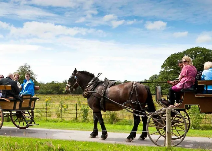 Muckross Park & Hotel 5*